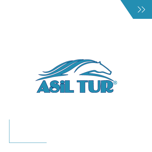 Asil Tur Logo