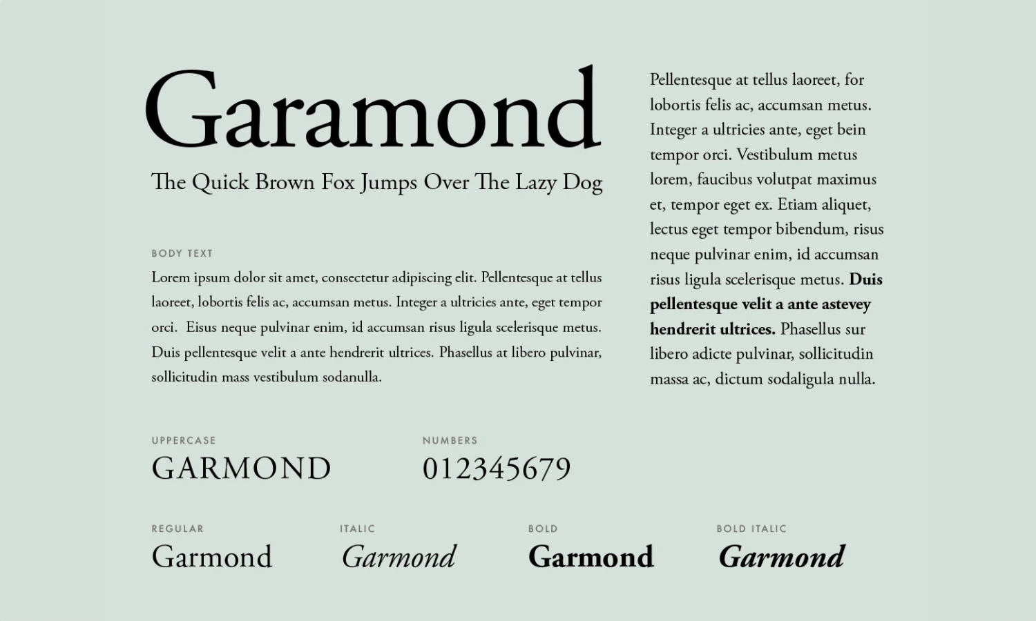 Schriftmuster der Garamond auf hellgrünem Grund: Überschrift, Fließtext, normaler, kursiver und fetter Schnitt
